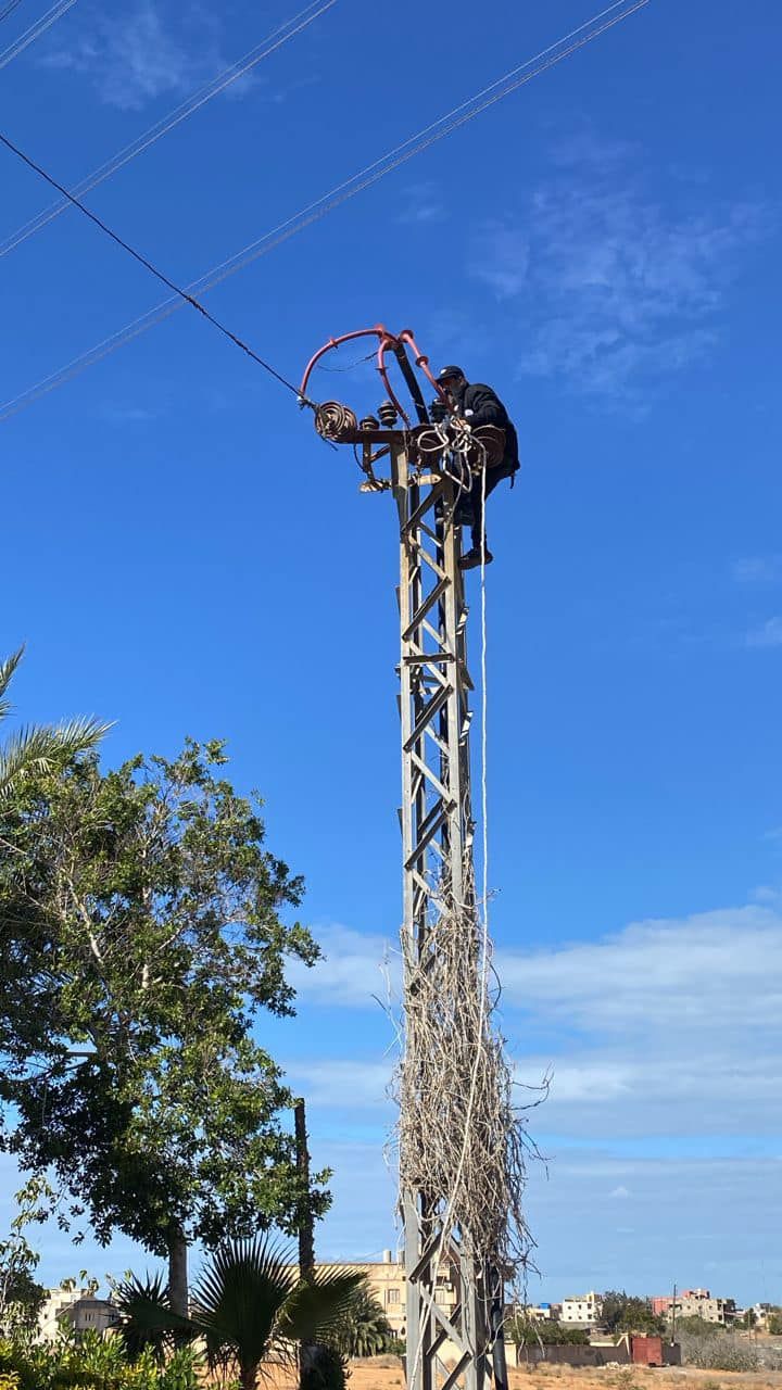 May be an image of 1 person, tree and satellite dish