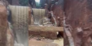 سلطة إقليم البترا ": إجلاء مئات السياح جراء السيول من دون تسجيل إصابات