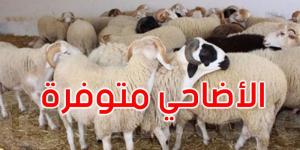 رئيس اتحاد الفلاحة: أضاحي العيد متوفرة وهكذا ستكون أسعارها..