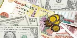 الدولار يسجل 50.62 جنيه للشراء.. أسعار العملات الأجنبية اليوم الجمعة