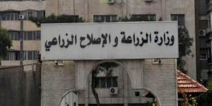 وزير الزراعة: نستعرض الخطط الاحترازية لحماية الثروة الحيوانية من الأمراض العابرة للحدود