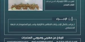 إحباط تهريب (80) كجم من القات المخدر بـالعارضة