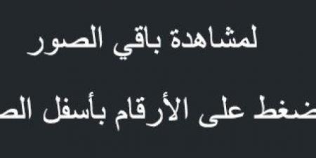 عروض بنده الطازج بصفحة واحدة اليوم 15 ديسمبر 2024 الموافق 14 جمادى الآخر 1446 سوق الأحد ماقده أحد