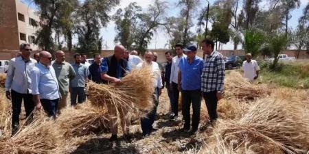 محافظ أسيوط يشارك العمال احتفالات عيدهم ويتفقد حصاد 40 فدان قمح بمزرعة بني سند بمنفلوط