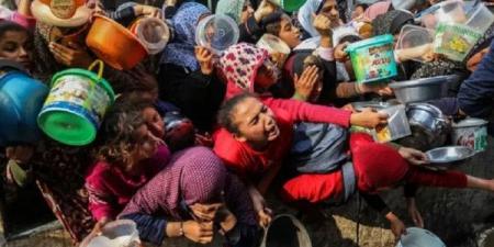"الإعلامي الحكومي" بغزة: 57 شهيداً بسبب التجويع في القطاع والعدد مرشح للزيادة