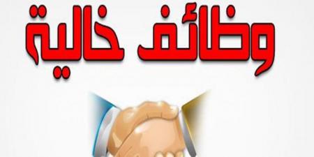 الشروط والمكان وأخر موعد للتقديم.. وظائف بيت الزكاة والصدقات المصري 2025