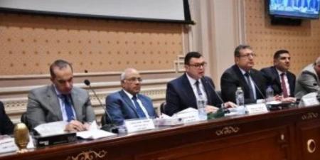 الحكومة : عدم إقرار قانون الإيجار القديم سيترتب عليه فسخ العقد تلقائيا بين المالك والمستأجر
