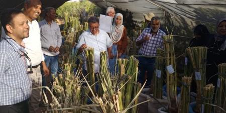 "الزراعة" تطلق فعاليات مشروع "التصدي لتغير المناخ من محافظة أسيوط