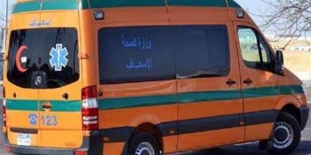 إصابة 12 شخصا في انقلاب ميكروباص بالشرقية