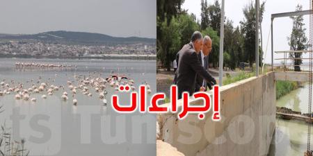 إجراءات عاجلة لتصريف مياه سبخة السيجومي ومجابهة البعوض في محيط العاصمة