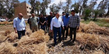 محافظ أسيوط: توريد أكثر من 46 ألف طن قمح حتى الآن