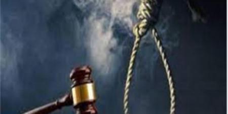 احالة اوراق ربة منزل وكهربائى ونجار لفضيلة المفتى