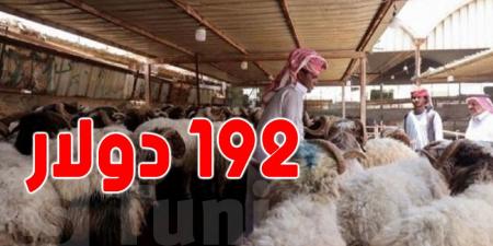 مهم للحجيج التونسيين: الضحية ب 192 دولارًا والسعودية تُحدّد الجهات الرسمية