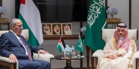 وزير الخارجية ونائب رئيس دولة فلسطين يناقشان تعزيز العمل المشترك