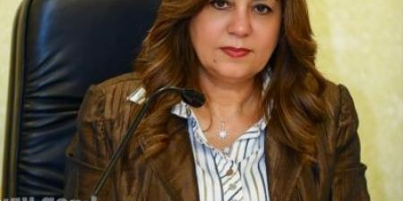 التنمية المحلية : ورشة عمل بالجيزة لتيسير إجراءات تراخيص المحلات