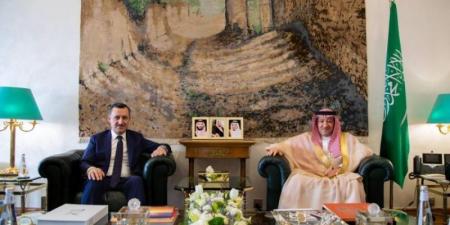 الخريجي يبحث مع سفير تركيا الموضوعات المشتركة