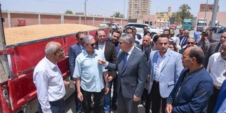 بحضورالمحافظ.. انطلاق موسم توريد القمح بالاسكندرية