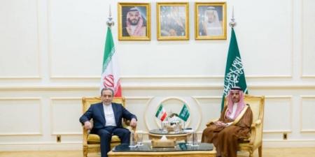 وزير الخارجية ونظيره الإيراني يبحثان آخر التطورات الإقليمية