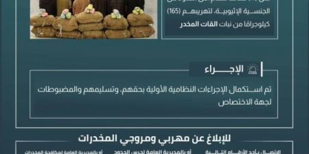 القبض على (11) مخالفًا لتهريبهم (165) كجم من القات بـالربوعة