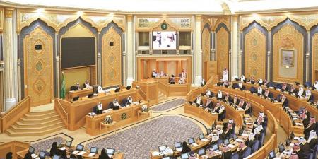 توطين وتنظيم صناعة الإعلان والحد من تسرب العوائد