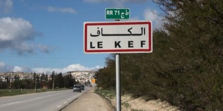 وزير التجهيز والإسكان يشرف على توزيع 30 مسكنا اجتماعيا بمدينة نبر