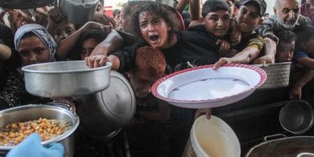 الأمم المتحدة: عدد الوجبات اليومية المقدمة للمواطنين في قطاع غزة انخفض 70%