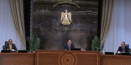مجلس الوزراء يوافق على طلب لمحافظة الجيزة