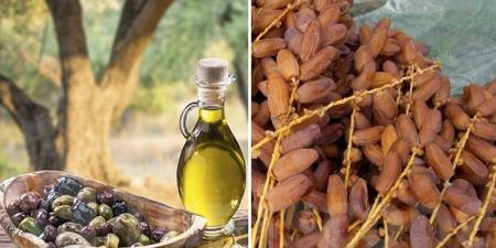زيت الزيتون والتمور التونسية تحققان أرقاماً قياسية في السوق البرازيلية