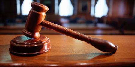 إحالة أوراق شقيقين للمفتى بتهمة تسديد 6 طعنات لسائق توك توك وإلقائه حيا بالترعة