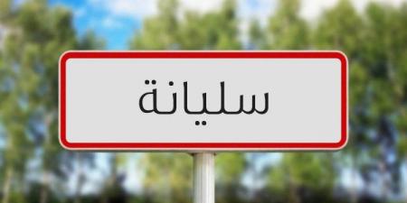 سليانة: دعوة إلى رفع الإخلالات البيئيّة بكافة المعتمديات والإشعار عن كل التجاوزات