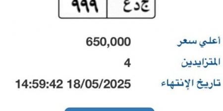 بوابة مرور مصر الإلكترونية تطرح لوحة سيارة بسعر 650 ألف جنيه
