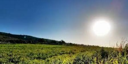 أجواء حارة نسبيًا منتصف الأسبوع واستقرار نسبي يوم الجمعة