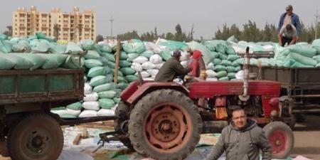 محافظ كفرالشيخ: توريد 178 ألف طن من الأقماح المحلية حتى الآن