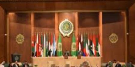 بعثة جامعة الدول:  نسعى لتعليق عضوية إسرائيل في الأمم المتحدة
