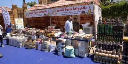 افتتاح معرض كنوز مطروح بالمنصورة