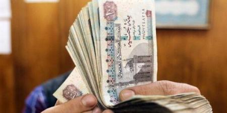 موعد صرف مرتبات شهر يونيو 2025.. خلال ساعات قليلة