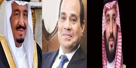 خادم الحرمين الشريفين وولي العهد يتلقيان رسالتين خطيتين من رئيس مصر