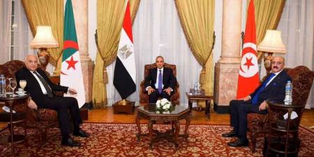 في اجتماع ثلاثي بين تونس والجزائر ومصر... لا للتدخل الخارجي في ليبيا