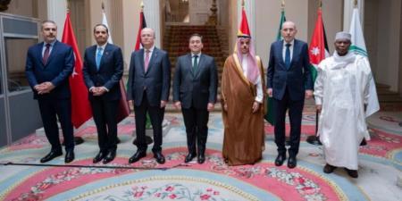 اللجنة الوزارية العربية الإسلامية بشأن غزة تعقد اجتماعًا في عمّان