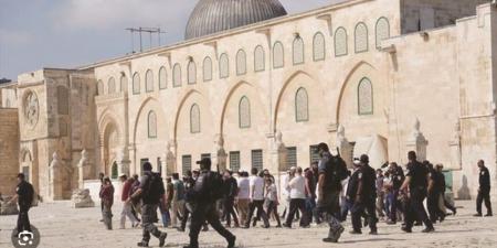 مئات المستوطنين يقتحمون المسجد الأقصى مجددًا