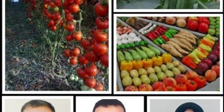 الزراعة الحيوية.. بوابة مصر للأسواق العالمية