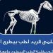 الهيكل العظمي الناطق للحصان.. نقلة نوعية بالتعليم البيطري في جامعة الدلتا