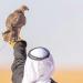 «عام الحرف».. يحلّق بالصقّارين