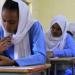 رابط نتيجة الشهادة السودانية 2025 برقم الجلوس.. سجل هنا