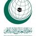 التعاون الإسلامي تدين الغارة الجوية الإسرائيلية على محيط القصر الرئاسي في دمشق