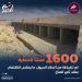 1600 منشأ للحماية من أخطار السيول تم تنفيذها مما يعكس الاهتمام بملف المناخ.. 561 منها بمحافظتي شمال وجنوب سيناء