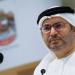 قرقاش: «للباطل جولة وللحق دولة»