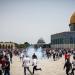 عشرات المستوطنين يقتحمون باحات "الأقصى" تحت حماية شرطة الاحتلال