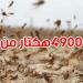 وزير الفلاحة يُحذّر: الجراد الصحراوي يهدّد الأمن الغذائي لأكثر من 60 دولة