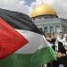 الدويري: مصر لن تقبل بتصفية القضية الفلسطينية أو التهجير